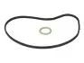 Прокладка помпи води BMW 5 (E60)/7 (E65/E66/E67/F01-F04) 01-15 N62/N73/N74 ELRING 359.200 (фото 1)