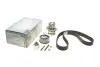 Комплект ГРМ + помпа VW Caddy III 07-10-/Golf IV/V 00-11/Passat 1.9T/2.0 TDI 00-09 PK05690