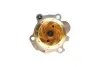 Комплект ГРМ + помпа Seat Ibiza 1.9 TDI/VW Polo 1.4/1.9 TDI 01-09 (120x30) HEPU PK05540 (фото 6)