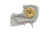 Комплект ГРМ + помпа Ford Mondeo/C-Max/Focus 1.5/1.6 EcoBoost 10-(117x22)(помпа P255) HEPU PK02551 (фото 5)