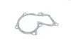 Комплект ГРМ + помпа Ford Mondeo/C-Max/Focus 1.5/1.6 EcoBoost 10-(117x22)(помпа P255) HEPU PK02551 (фото 8)