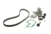 Комплект ГРМ + помпа Ford C-Max/Fiesta/Focus/Mondeo 1.25/1.4/1.6 05-/Volvo 1.6 07-12 (117x22)(PA990) GRAF KP990-1 (фото 1)