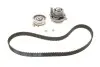 Комплект ГРМ + помпа Audi A3/A4/Seat Ibiza/Skoda Octavia/VW Caddy/Golf/Passat 1.6 95-(138x23)(PA904) KP904-1