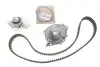 Комплект ГРМ + помпа Renault Trafic/Master/Laguna/Opel Vivaro/Movano/Volvo 1.9dCi/DTI/DI 01-(132х26) KP822-1