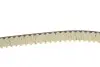 Комплект ГРМ Peugeot Boxer/Expert 2.0 BlueHDi 15-19 DAYCO KTB995 (фото 3)