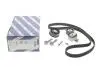 Комплект ГРМ Opel Astra G/Zafira A 1.4-1.8 16V 98-09 (20x162z) BOSCH 1 987 948 257 (фото 2)