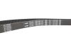 Комплект ГРМ Fiat Stilo 1.9 JTD 03-06 (198x24) BOSCH 1 987 948 942 (фото 10)