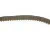 Комплект ГРМ Ford Ranger 2.5/3.0 TDCi 06-12 (26.5x103z) INA 530 0664 10 (фото 3)