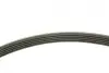 Комплект ременя генератора Citroen C3/C4/Peugeot 206/307 1.4/1.6 HDi 02- (6PK800) INA 529 0213 10 (фото 2)
