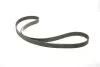 Комплект ГРМ Jeep Cherokee/Chrysler Grand Voyager 2.5/2.8CRD 95-08 INA 530 0456 10 (фото 6)