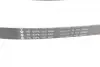 Комплект ременя генератора Peugeot 208/2008 1.6BlueHDi 13- (6PK1005) INA 529 0358 10 (фото 35)