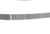 Комплект ременя генератора Peugeot 208/2008 1.6BlueHDi 13- (6PK1005) INA 529 0358 10 (фото 10)