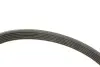 Комплект ременя генератора Citroen Jumper/Peugeot Boxer 2.2 HDi 06- (6PK1640/4EPK922) INA 529 0322 10 (фото 3)