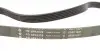 Комплект ременя генератора Audi A2/Seat Ibiza/Skoda Fabia/VW Golf/Polo 1.4/1.6/1.6FSI 97- (6PK 1078) 529 0103 10