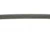 Комплект ременя генератора VW Passat/Audi A4/A6 1.6-2.0TDI 96-05 Gates K034PK855 (фото 6)