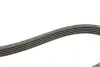 Комплект ременя генератора Skoda Superb/VW Passat B5 1.6-2.0 96-08 Contitech 5PK1300 K1 (фото 2)