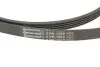 Комплект ременя генератора Skoda Superb/VW Passat B5 1.6-2.0 96-08 Contitech 5PK1300 K1 (фото 3)