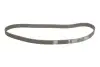 Комплект ГРМ Citroen C3 1.4 16V HDi 02- (25.4x135z) INA 530 0369 10 (фото 2)