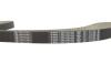 Комплект ГРМ Jaguar XF I/XJ/S-Type II 2.7D/3.0D 04- (195x30) BOSCH 1 987 948 949 (фото 9)