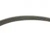 Комплект ременя генератора VW Golf V/VI/Passat 1.4TSI 06-16 (6PK 1700) INA 529 0341 10 (фото 12)