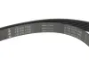 Комплект ременя генератора Renault Megane II 2.0 dCi 05-09 (7PK1705) INA 529 0423 10 (фото 7)