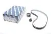 Комплект ГРМ Ford Mondeo/C-Max/Focus/Kuga/Transit Connect 1.5/1.6 EcoBoost 10- (22x117z) BOSCH 1 987 948 967 (фото 2)