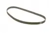 Комплект ГРМ Suzuki Grand Vitara/Vitara 2.0 TD 94-03 INA 530 0599 10 (фото 2)