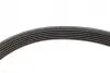 Комплект ременя генератора Citroen Berlingo/Peugeot Expert/Partner 1.6 HDi05- (6PK1708) INA 529 0046 10 (фото 3)