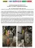 Помпа води Audi/Seat/Skoda/VW Crafter/Caddy/T6/Passat/Golf 1.6/2.0TDI 13- (R/B 4PT)(7 лоп)(без датч) GRAF PA1360-8 (фото 9)