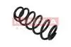 Пружина ходової частини AUDI A6 (C5) 97-05/A6 (C5) AVANT 97-05 KAMOKA 2110104 (фото 4)