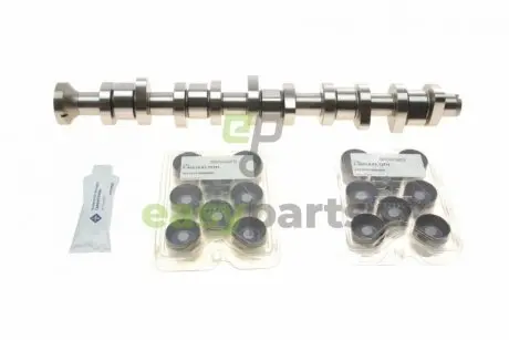 Комплект розподільчого валу VW T5 2.5 TDI 03-09, 96/120/128kw, (BNZ,AXD,BPC,AXE,BLJ) INA 428 0040 30
