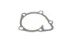 Помпа води Citroen C4/Mitsubishi Lancer VIII/Outlander/Peugeot 4007 1.8/2.0/2.4/4WD 08- (B/B)(6 лоп) GRAF PA1135 (фото 4)