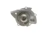 Помпа води Citroen C4/C5/C8/Jumpy/Fiat Scudo/Peugeot 308/407/Ford Focus 2.0HDI 06- (18z)(B/B)(24лоп) GRAF PA1110 (фото 3)