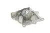 Помпа води Citroen C4-C8/Jumper/Peugeot 308/407/Ford Focus 2.0-2.2HDi/D/TDCi 06- (19z) (B/B)(8 лоп) GRAF PA1049 (фото 3)