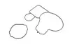 Помпа води BMW 1/3/5/X1/X3 116d/118d/120d/123d/318d/320d/520d/2.0d/xDrive 07-15 (B/B) (6 лоп)(6 кан) GRAF PA1039 (фото 4)