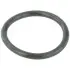 Уплотнительное кольцо FEBEST RINGWH-B5 (фото 1)