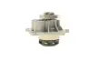 Помпа води Opel Astra/Vectra/Zafira/Insignia/Corsa 1.6/1.8 02-/Chevrolet Aveo 1.4/1.6 08-(B/B)(7лоп) GRAF PA959 (фото 3)