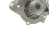 Помпа води Citroen C4-C8/Jumpy 2.0-2.2HDi/Fiat Scudo 2.0D/Ford Focus 2.0TDCI 01- (19z)(B/B)(8лоп) GRAF PA861 (фото 4)