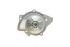 Помпа води Citroen C4-C8/Jumpy 2.0-2.2HDi/Fiat Scudo 2.0D/Ford Focus 2.0TDCI 01- (19z)(B/B)(8лоп) GRAF PA861 (фото 6)