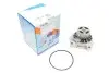 Помпа води Audi 100/A6/VW Crafter/LT/T4/Volvo 940/V70 2.4D/TD/2.5/2.5TDI/SDI 90-13 (20z)(7лоп)(R/B) GRAF PA758 (фото 5)