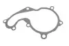 Помпа води Ford C-Max I/Focus I/II/Mondeo/Transit/Tourneo Connect 1.8DI/TDCi/TDDi 99- (R/B) (6 лоп.) GRAF PA742 (фото 5)