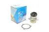 Помпа води Lada 2110-2111 1.5/1.5 16V/1.6 97-12 /Lada 2108-2115 1.1/1.3/1.5 91-13 (21z) (B/B)(6 лоп) GRAF PA704 (фото 6)