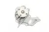 Помпа води Ford Fiesta IV/V/Focus/Fusion 1.25/1.4/1.6 95-/Mazda 2 03-05/Volvo 05-07 (R/B) (6 лоп) GRAF PA612 (фото 4)