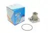 Помпа води Audi A4/A6/Skoda Felicia/VW Golf/Caddy/Passat/Polo 1.9D/TDI/SDI 95- (R/B)(6лоп) GRAF PA609 (фото 6)
