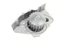Помпа води Fiat Scudo/Ducato/Peugeot Boxer/406 1.9D/TD/2.0 94- (20z) (B/B) (7 лоп.)(зовн.d імп=69mm) GRAF PA391 (фото 4)