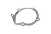 Помпа води Fiat Scudo/Ducato/Peugeot Boxer/406 1.9D/TD/2.0 94- (20z) (B/B) (7 лоп.)(зовн.d імп=69mm) GRAF PA391 (фото 5)