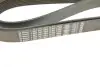 Ремінь генератора MB Atego/Axor/Vario 98- (8PK1955) (OM900/904/906/924-926) BOSCH 1987947062 (фото 5)