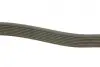 Ремінь генератора MB Atego/Axor/Vario 98- (8PK1955) (OM900/904/906/924-926) BOSCH 1987947062 (фото 3)