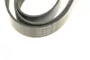 Ремінь генератора MB Atego/Axor/Vario 98- (8PK1955) (OM900/904/906/924-926) BOSCH 1987947062 (фото 4)