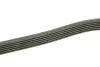 Ремінь генератора Mitsubishi L200 2.5DI-D 05-15 (6PK1496) BOSCH 1987948497 (фото 9)